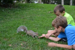 Feeding squirrels in the park