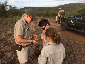 Safari with kids